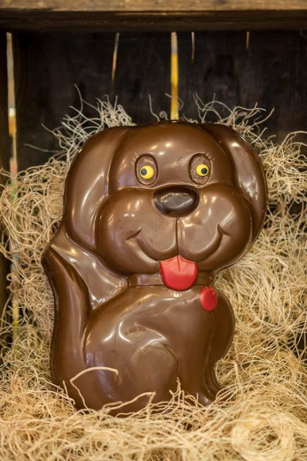 Chocolate Easter Happy Dog St-Gérard 800gr.