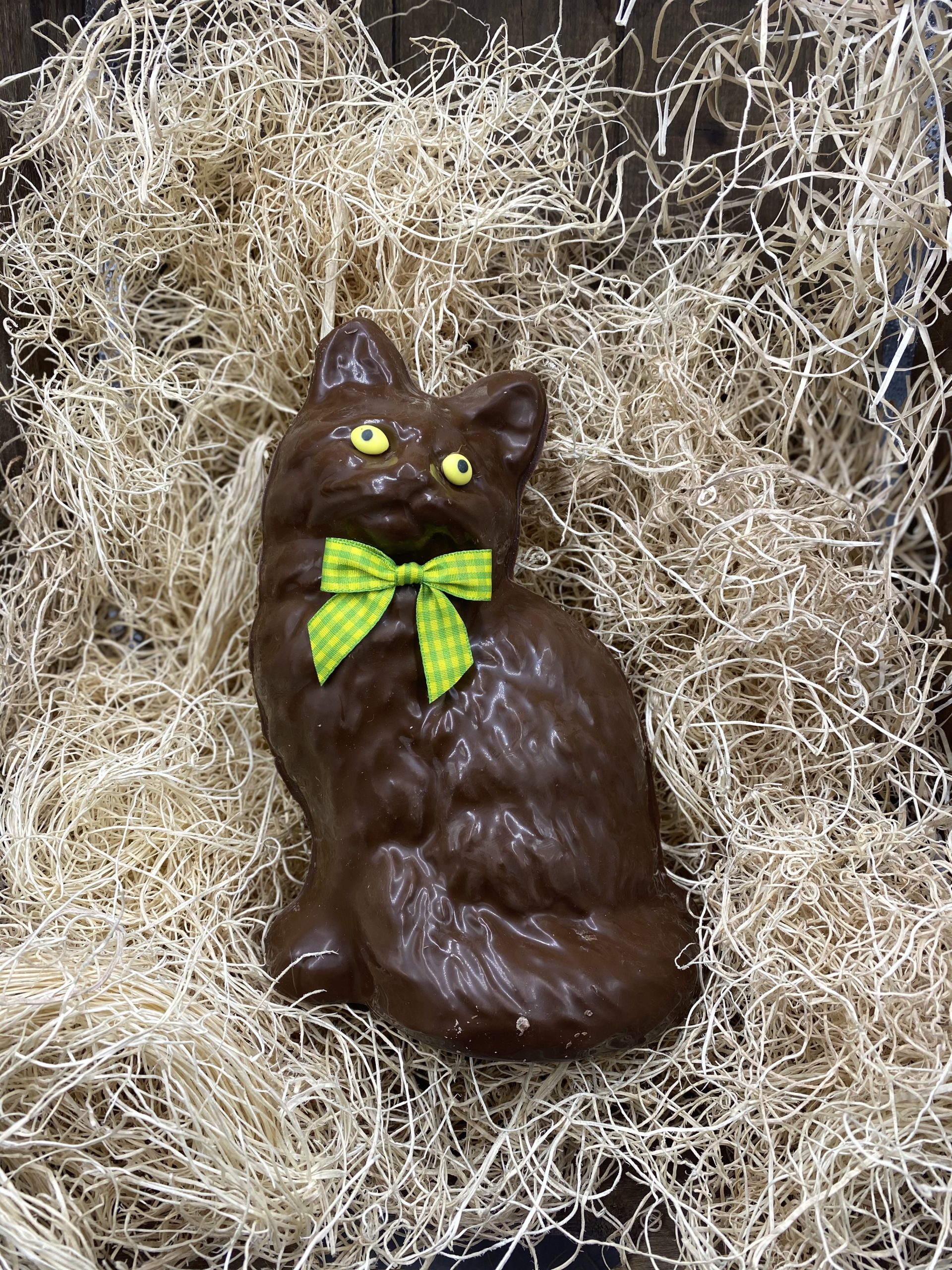 Chocolat Paques Chat Assis St Gerard 300gr Biscuiterie Oscar